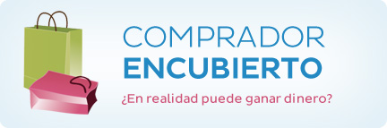 Comprador encubierto. ¿En realidad puede ganar dinero? Comprador encubierto. ¿En realidad puede ganar dinero?